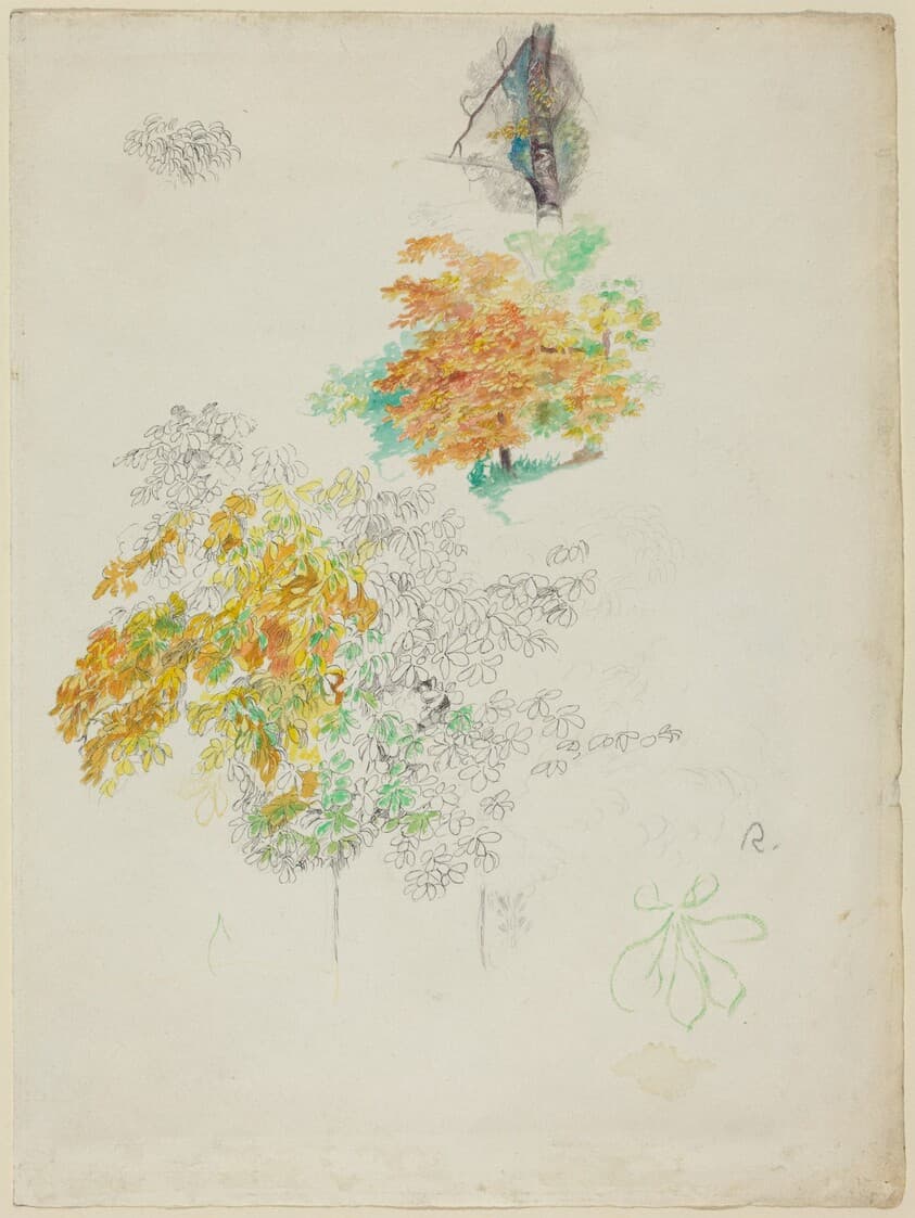 Studies of Trees — Auguste Renoir