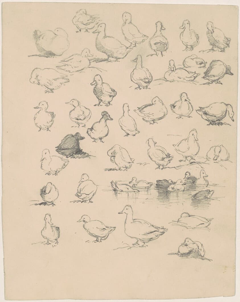 Ducks — Andrew Fisher Bunner