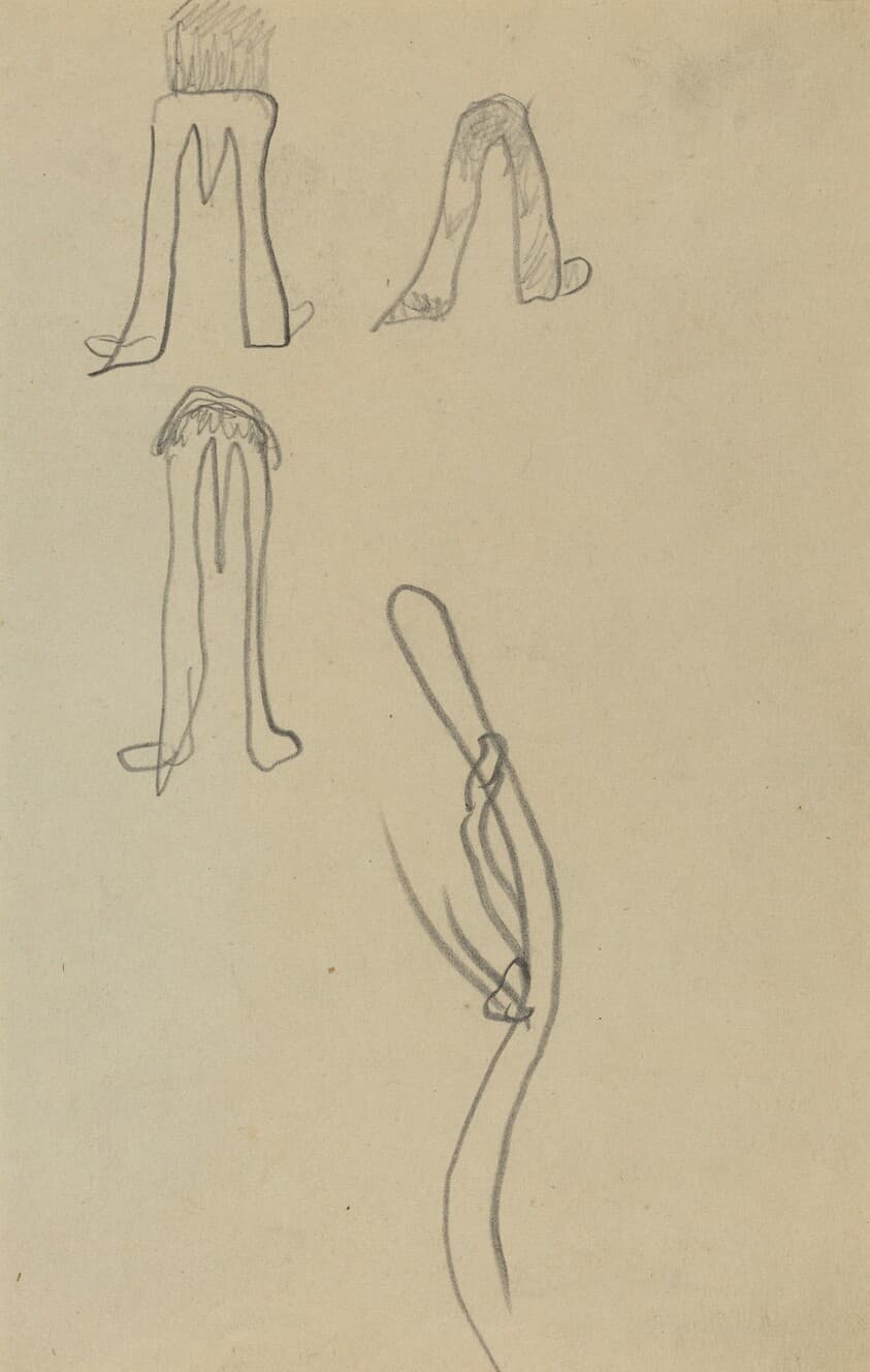 Four Fantastic Forms [recto] — Paul Gauguin
