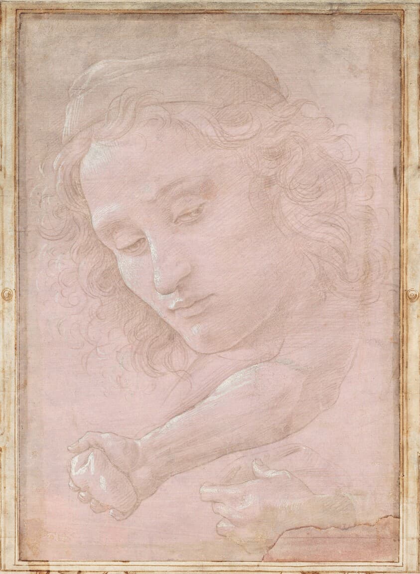 Head of a Youth Wearing a Cap; a Right Forearm with the Hand Clutching a Stone; and a Left Hand Holding a Drapery — Sandro Botticelli