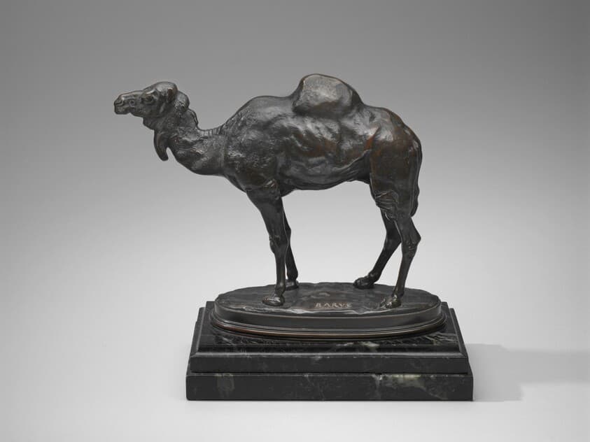 Algerian Dromedary — Antoine-Louis Barye