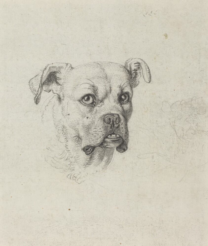 A Boxer — Johann Heinrich Wilhelm Tischbein