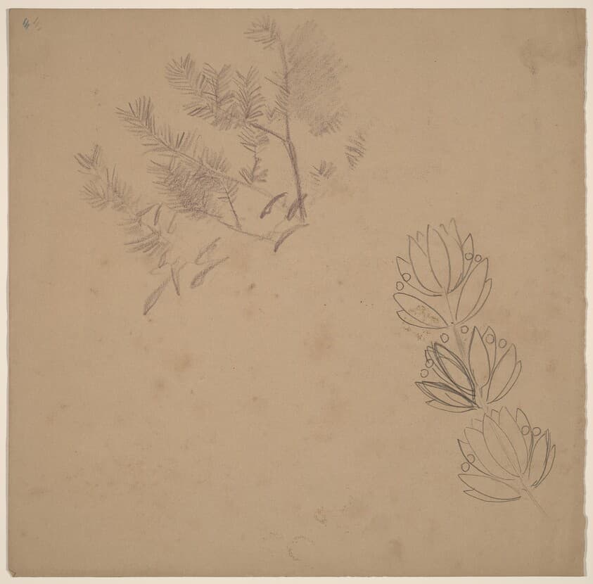 Study for a Border Design with a Sketch of a Tree — Charles Sprague Pearce