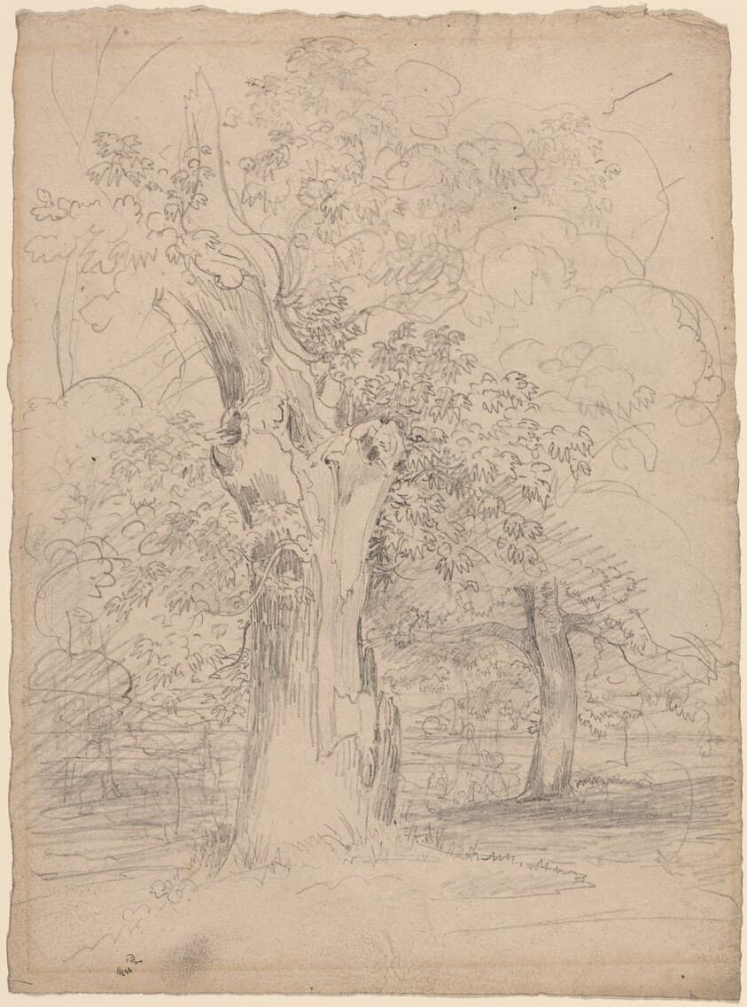 An Ancient Tree with Figures in a Landscape — Friedrich Salathé