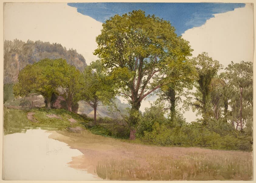 Trees Profiled against the Sky — John Henry Hill