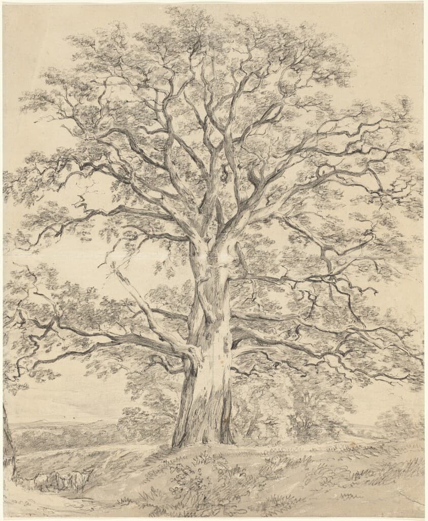 A Great Oak Tree — John Constable