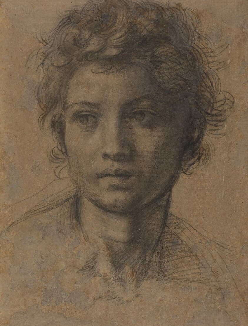 Head of Saint John the Baptist — Andrea del Sarto