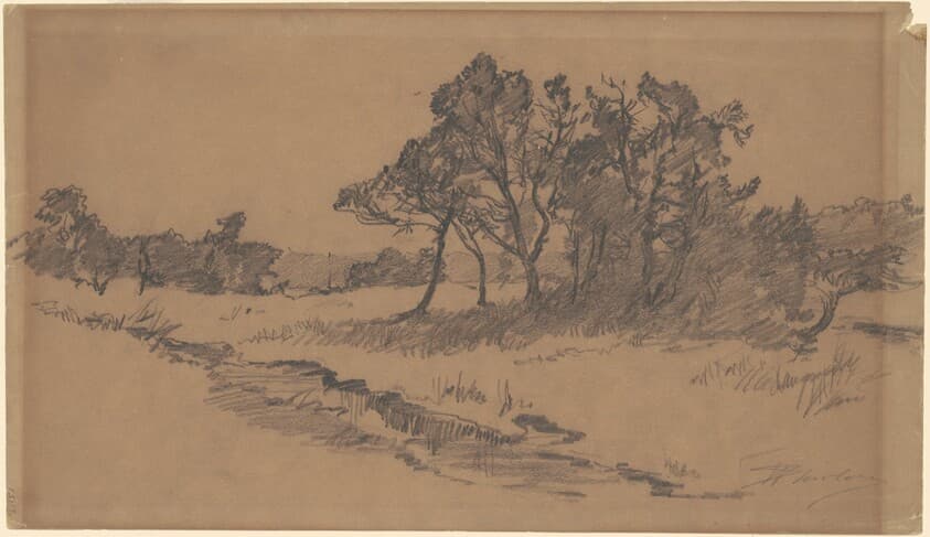 Trees in a Field — Walter Shirlaw