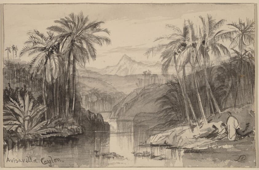 Avisavella, Ceylon — Edward Lear
