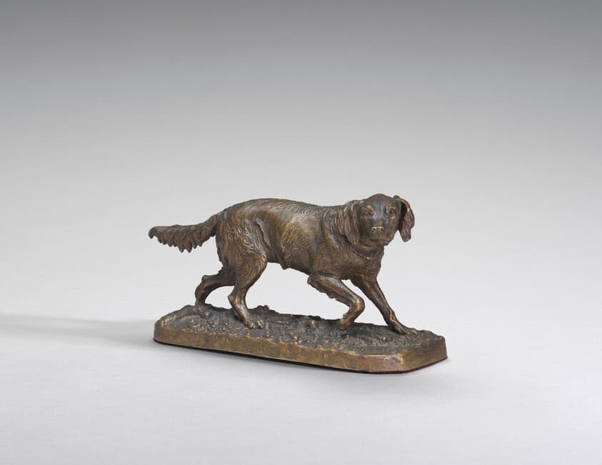 Setter (setting right) — Pierre-Jules Mêne