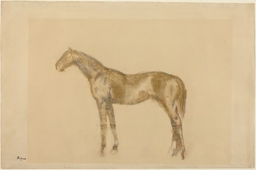 Horse — Edgar Degas