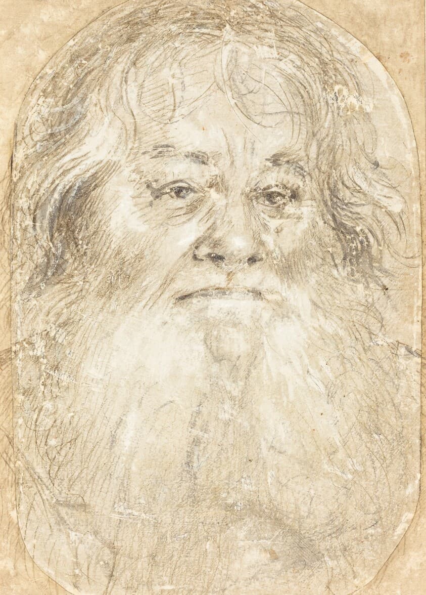 Study of a Bearded Man [verso] — Hans Holbein the Elder