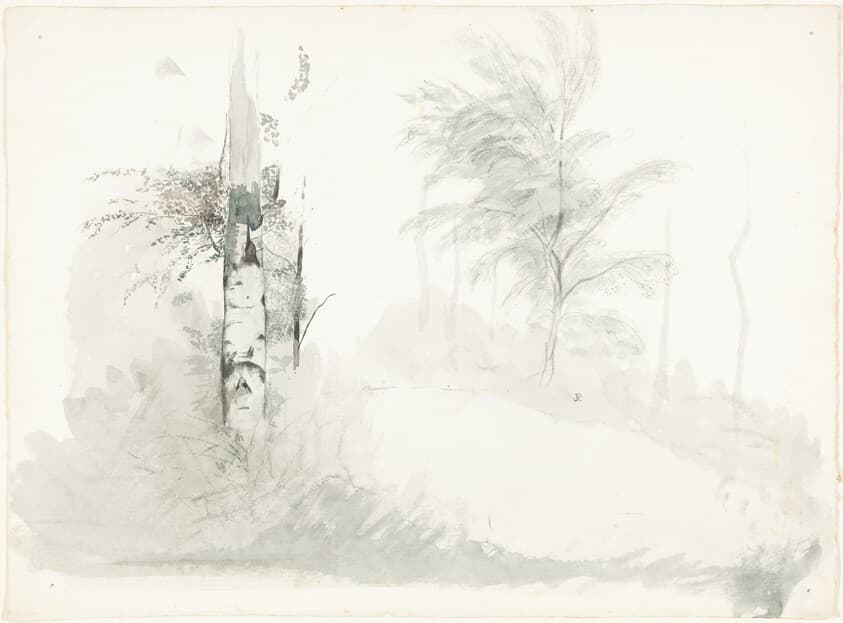 Tree Study — John Ruskin
