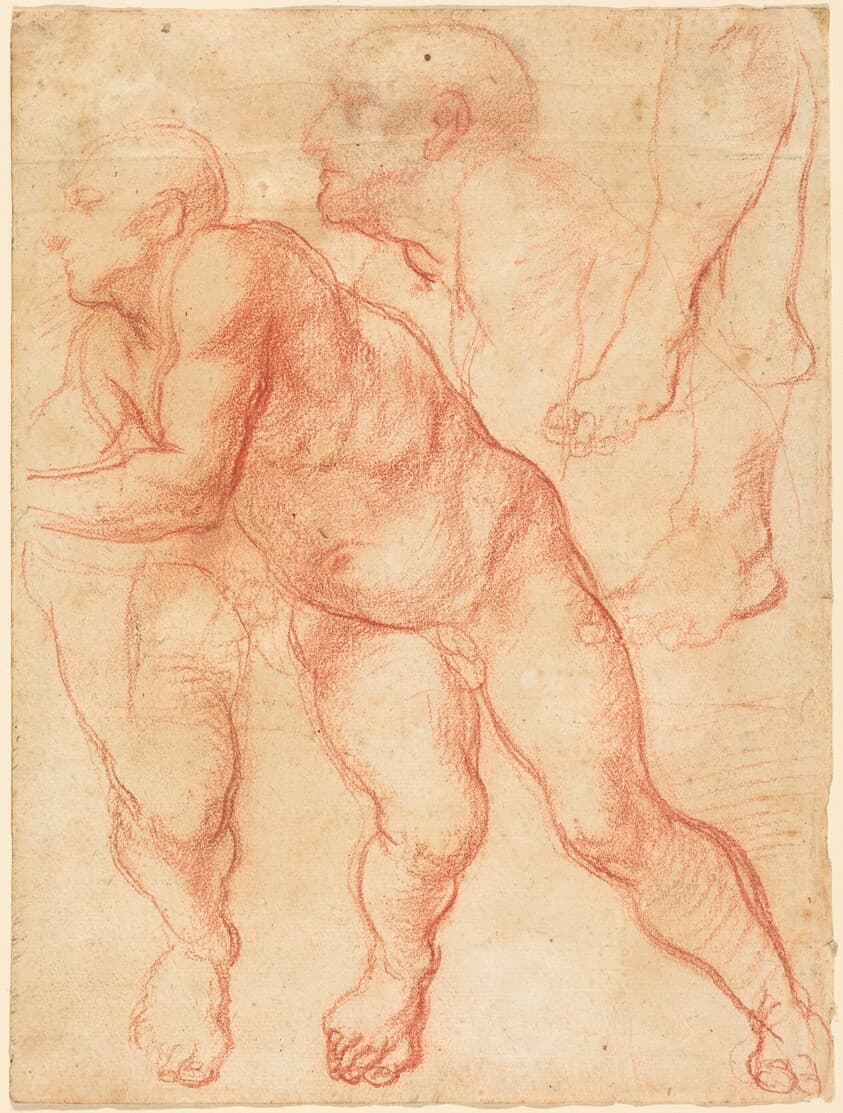 Studies of a Male Nude — Giovanni Battista Naldini