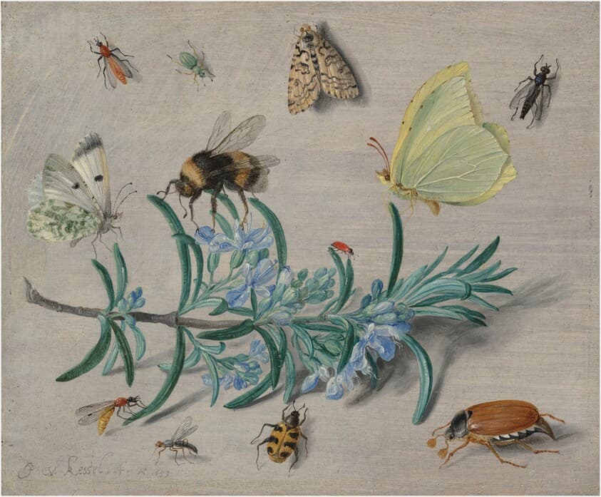 Insects and a Sprig of Rosemary — Jan van Kessel the Elder