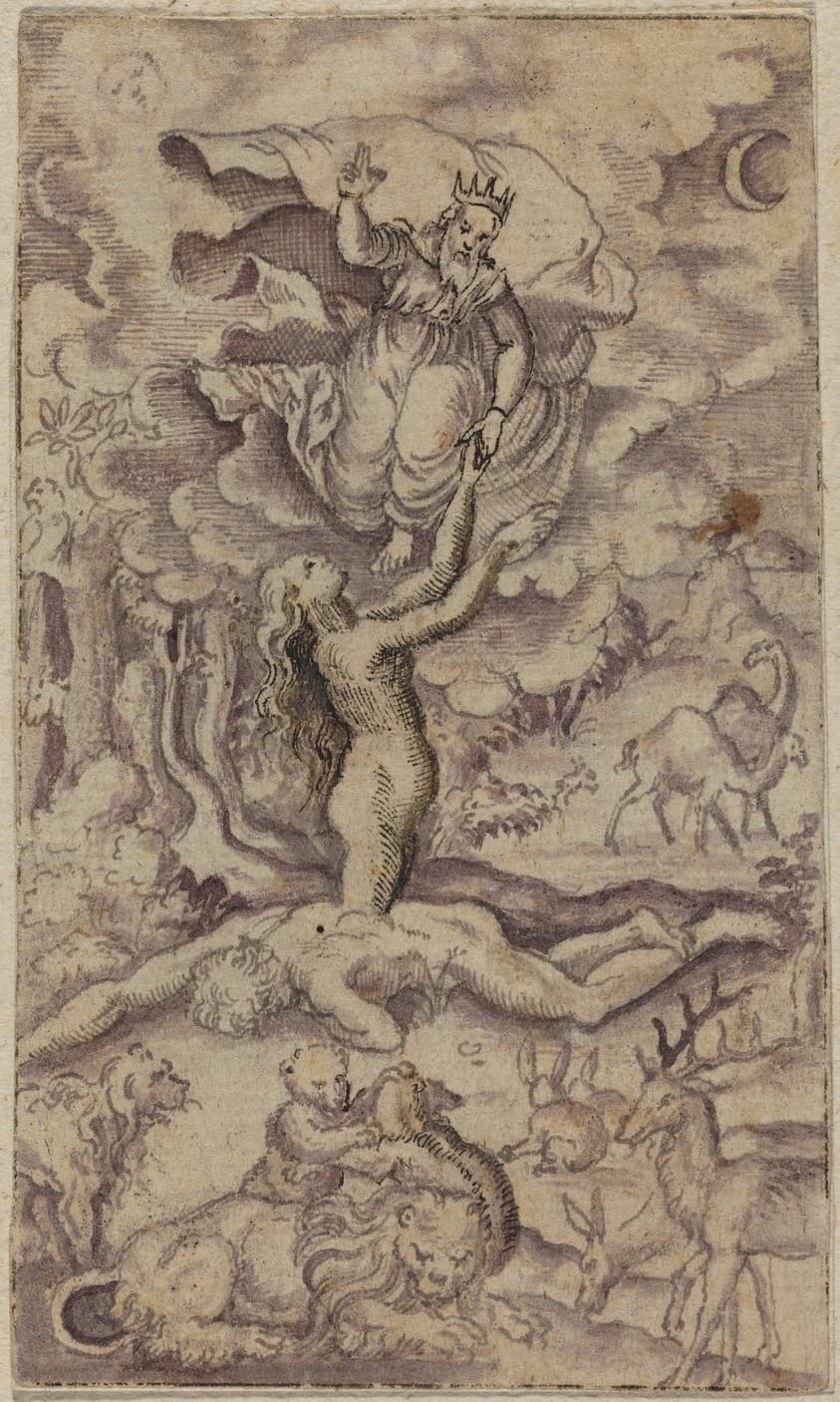 The Creation of Eve — Virgil Solis