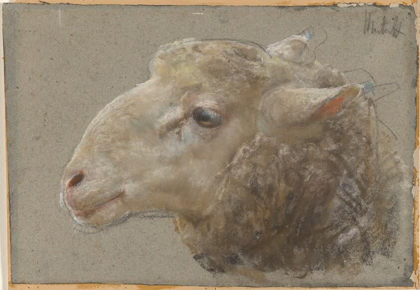 Head of a Sheep — Francesco Paolo Michetti