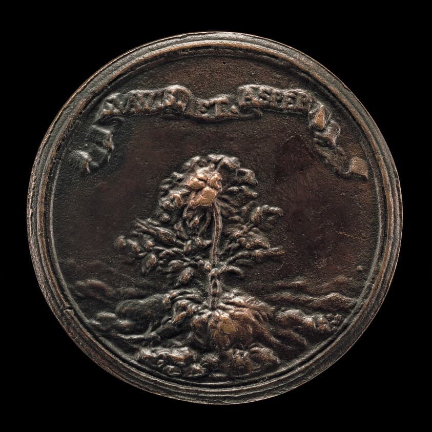 Rosebush Growing out of a Rocky Terrain [reverse] — Charles-Jean-François Chéron