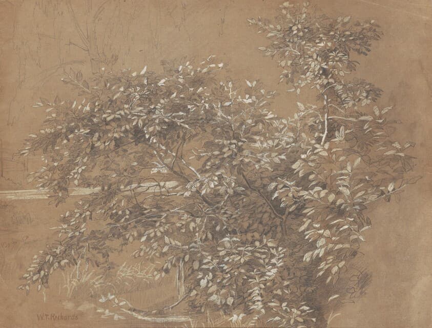 Foliage — William Trost Richards