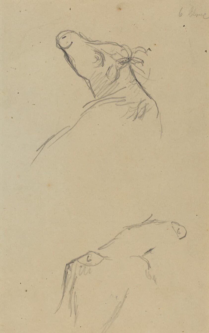 Two Cow's Heads [verso] — Paul Gauguin
