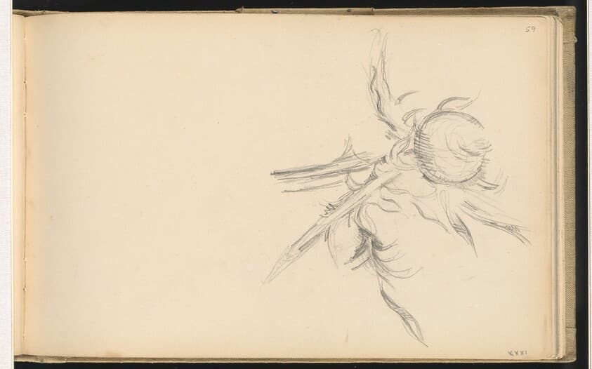 Thistle — Paul Cezanne