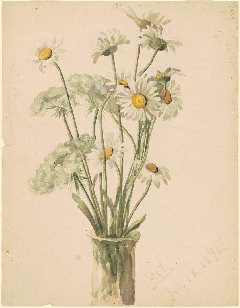 Daisies and Queen Ann's Lace — Marietta Minnigerode Andrews