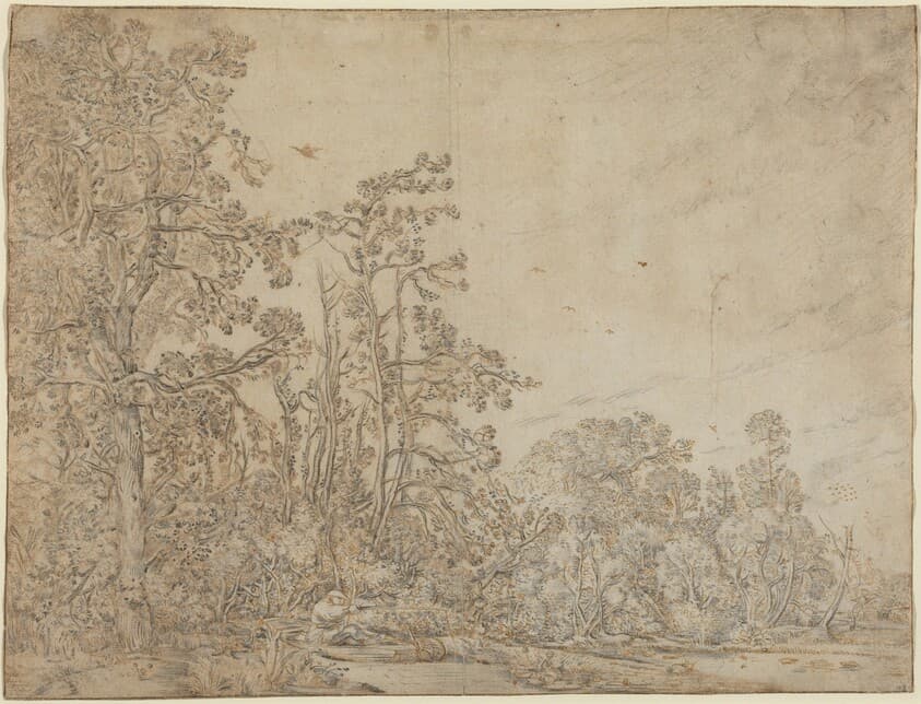 Woodland Pond with a Fisherman — Willem Buytewech