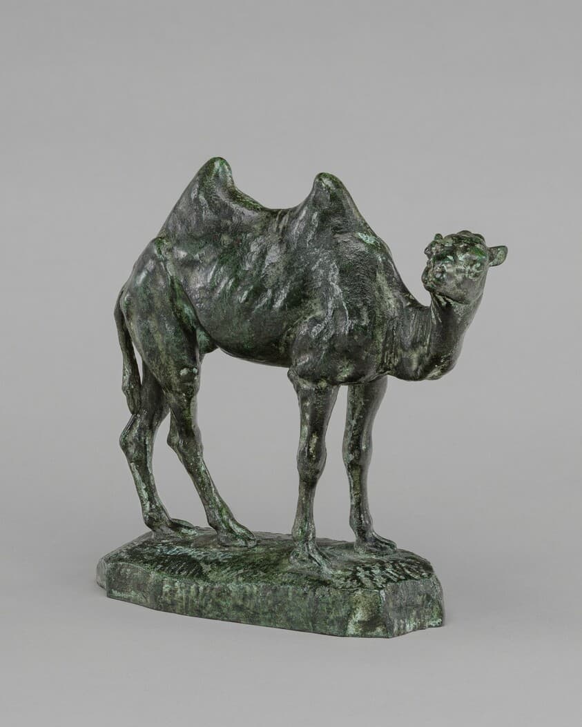Persian Camel — Antoine-Louis Barye