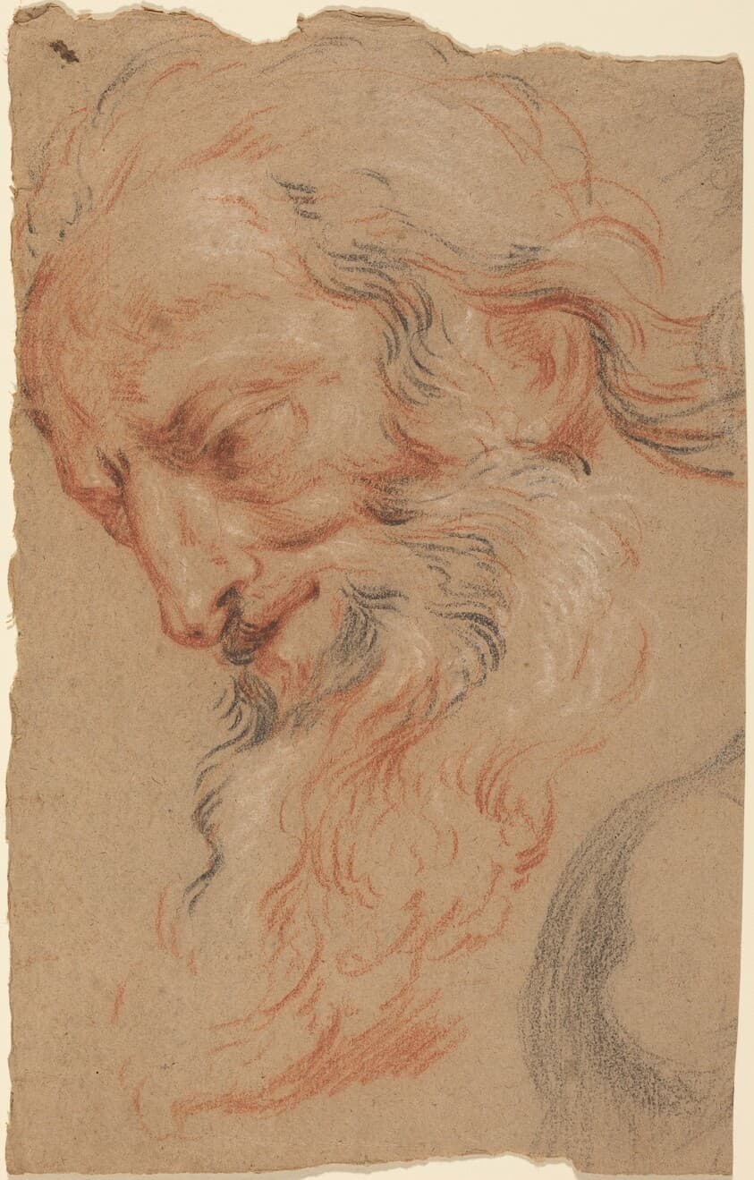 Head of an Old Man — Antoine Coypel