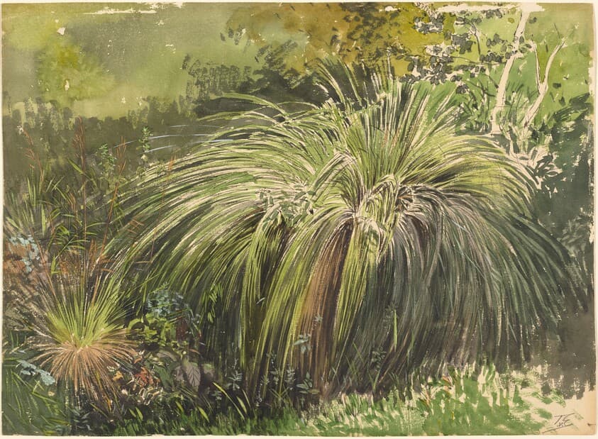 A Corner of a Meadow with Fountaingrass — Themistocles von Eckenbrecher