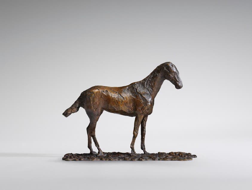 Study of a Mustang — Edgar Degas