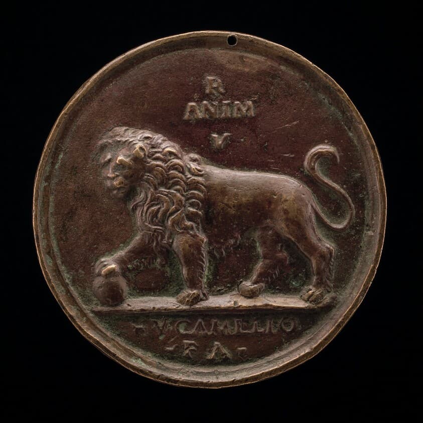 A Lion — Vittore Gambello