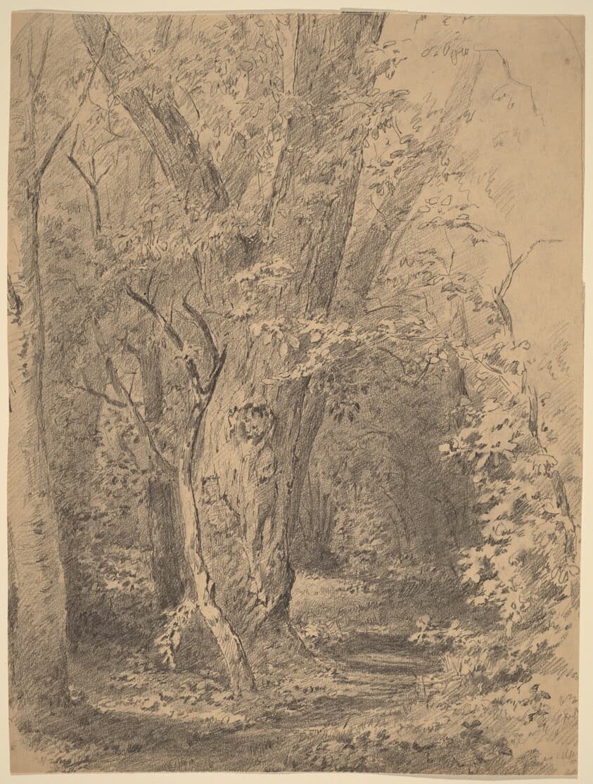 Tree and Foliage — Walter Shirlaw