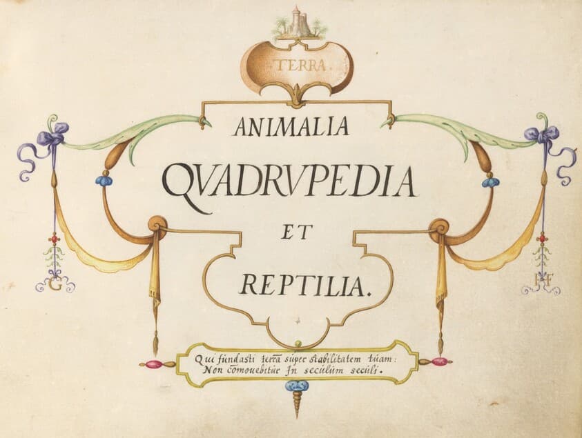 Title Page — Joris Hoefnagel