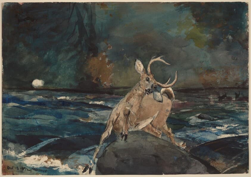 A Good Shot, Adirondacks — Winslow Homer