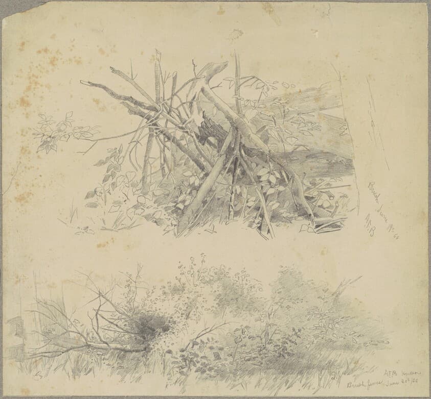 Brush; and Hudson Brush Fence — Andrew Fisher Bunner