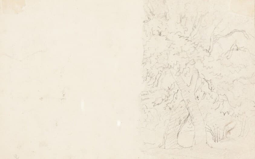 Trees [verso] — David Cox