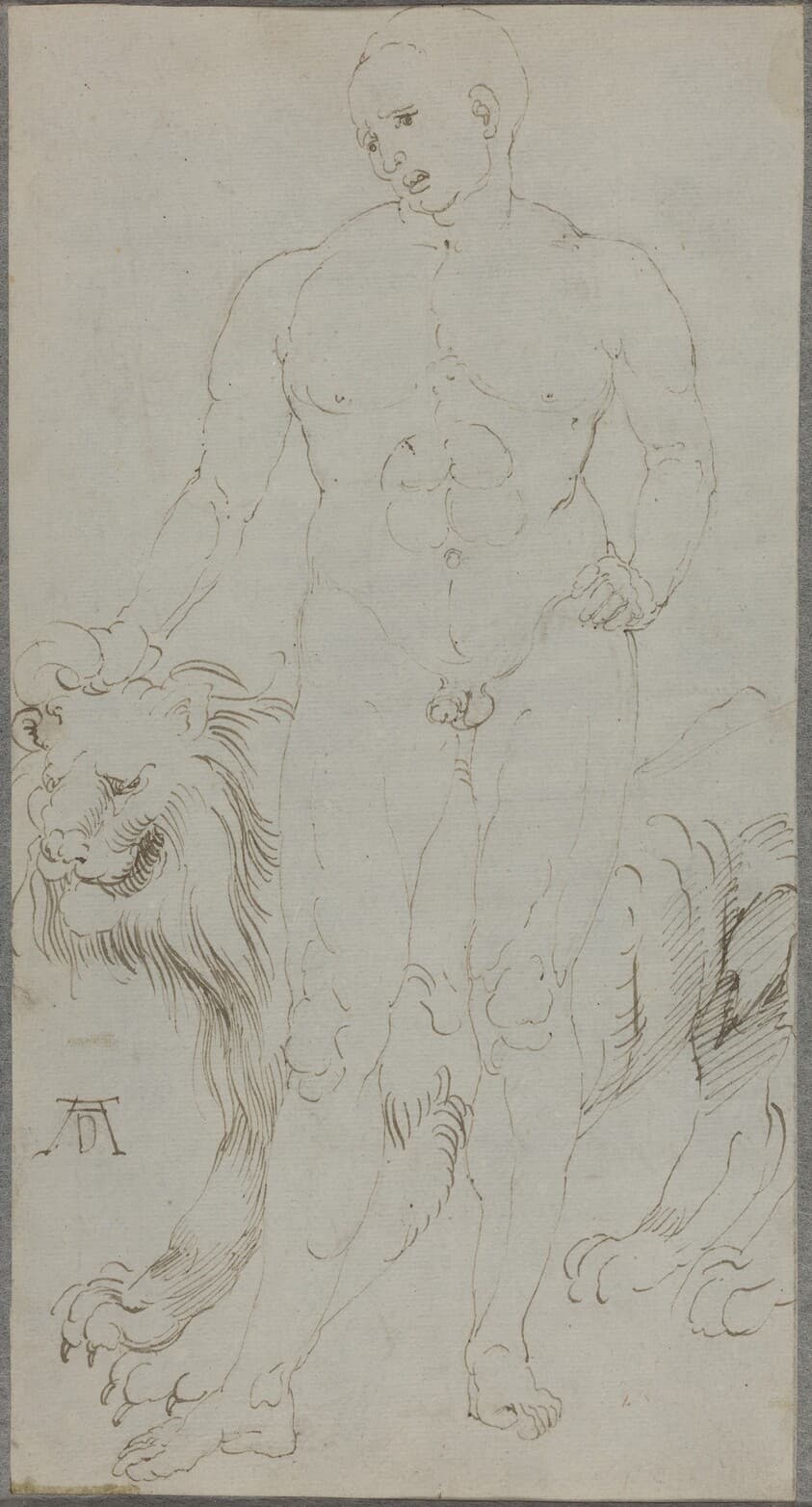 Male Nude with a Lion [verso] — Albrecht Dürer
