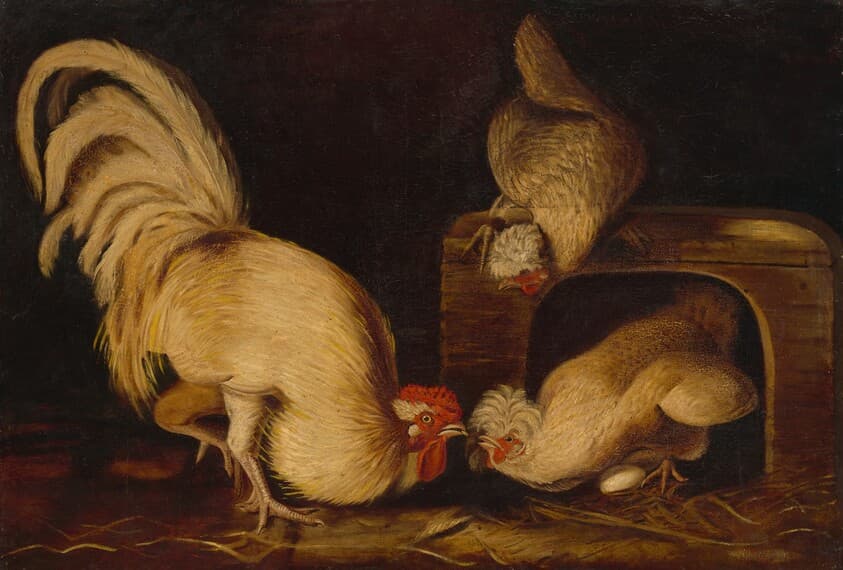 Farmyard Fowls — John James Audubon