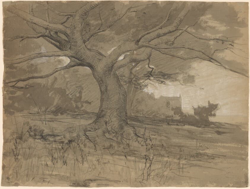 A Great Beech Tree at the Edge of a Wood — Adolphe Appian