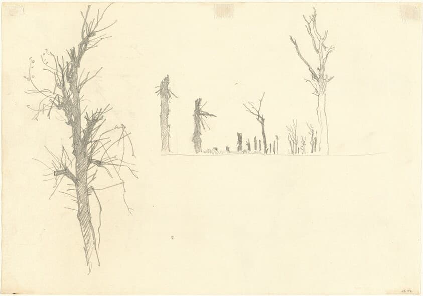 Devastated Trees [verso] — John Singer Sargent