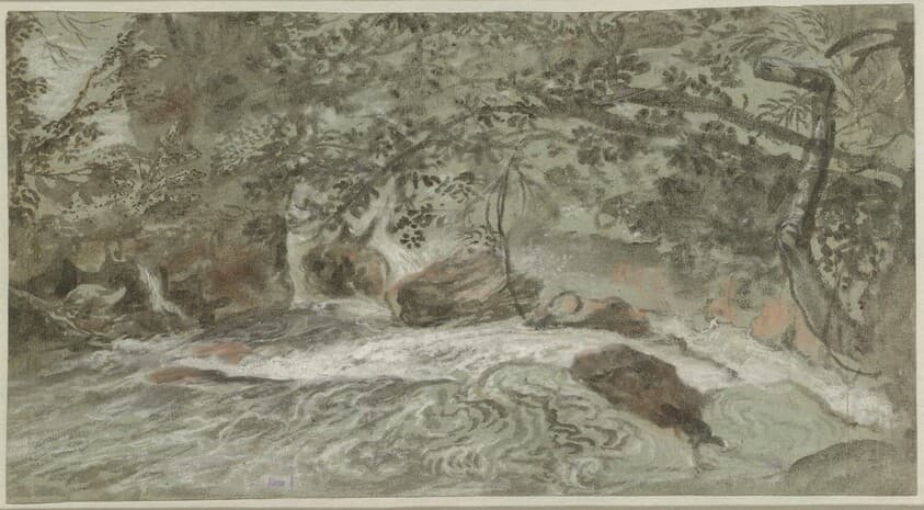 Rapids with Overhanging Branches (verso) — Joachim Franz Beich
