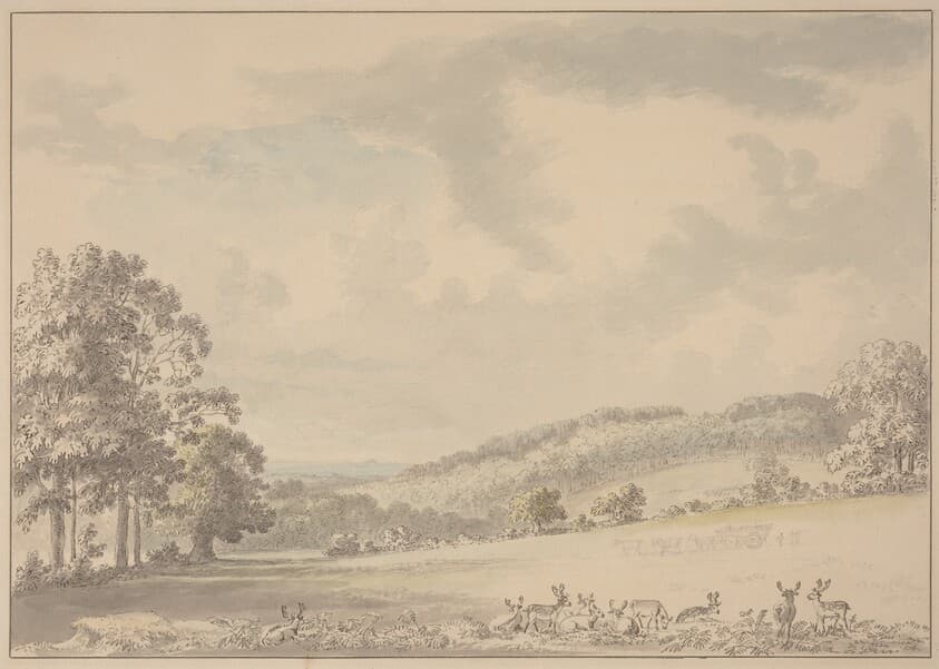 Deer Resting in Albury Park — Anthony Devis