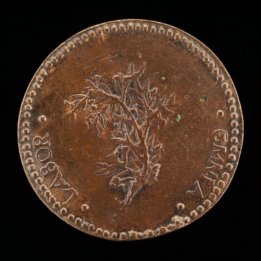 Olive Branch [reverse] — Gaspare Romanelli