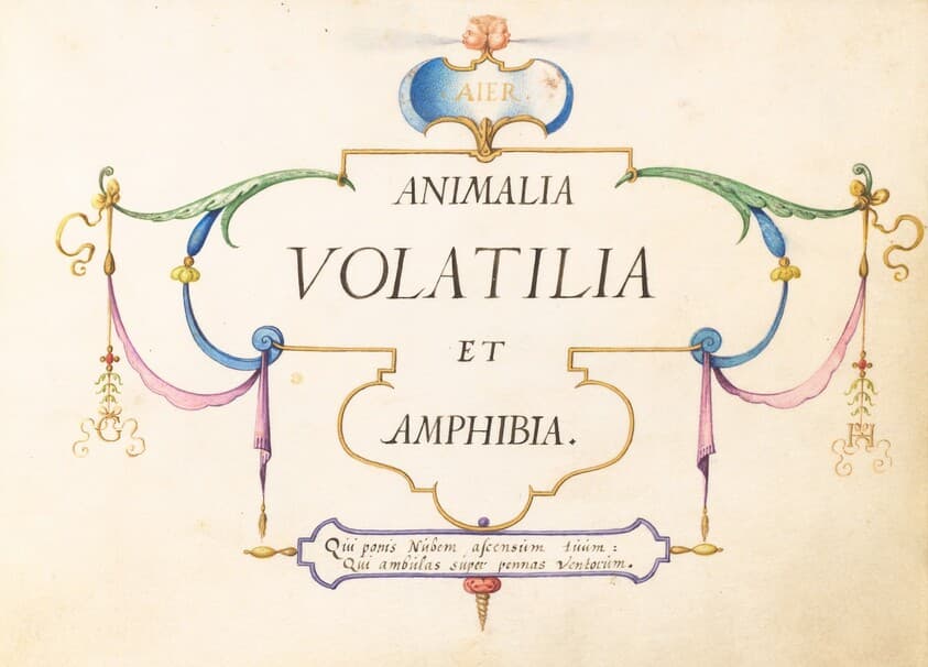 Title Page — Joris Hoefnagel