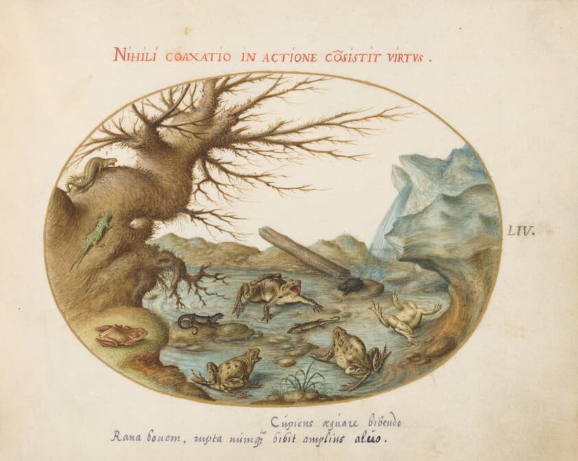 Plate 54: Frogs, Lizards, and Salamanders(?) in a Landscape — Joris Hoefnagel