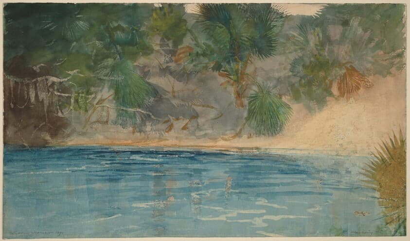 Blue Spring, Florida — Winslow Homer