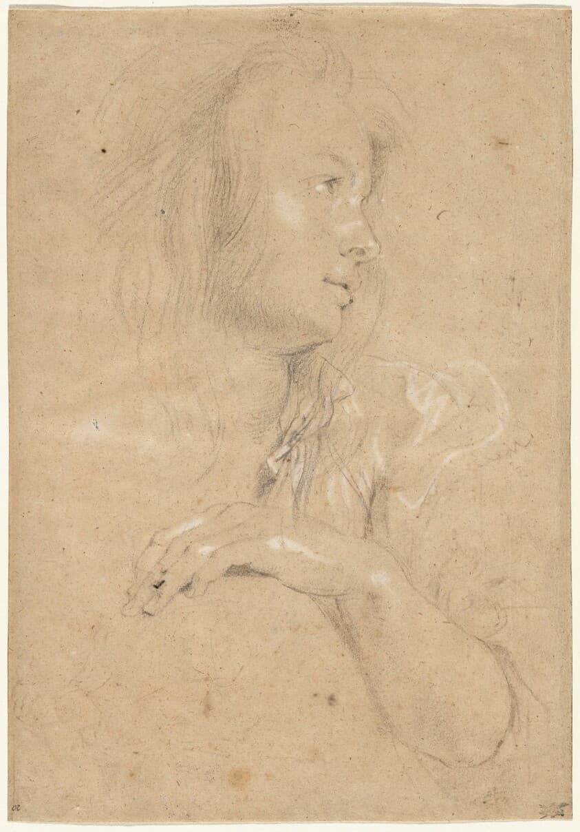 Young Woman in Profile — Sir Peter Paul Rubens