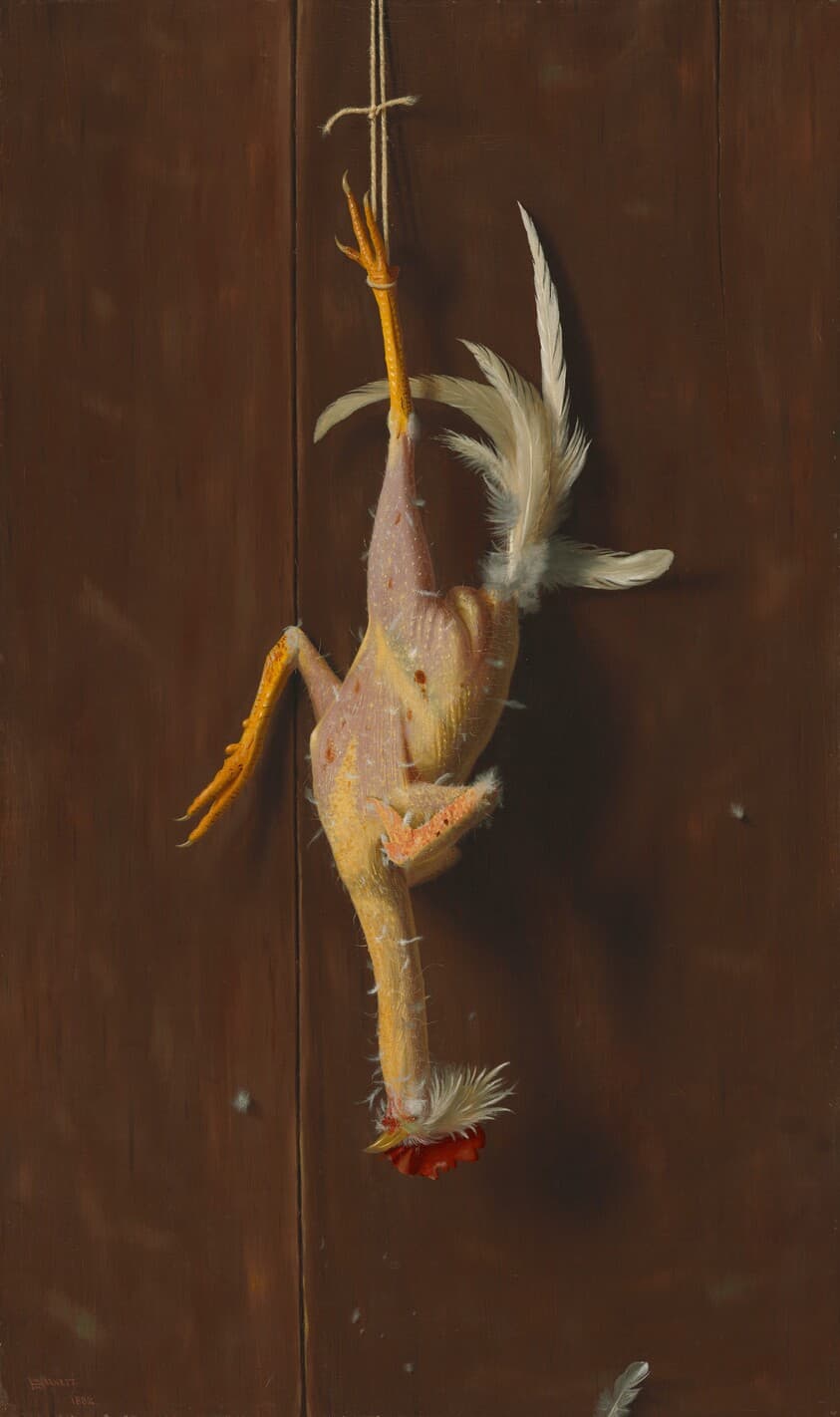 Plucked Clean — William Michael Harnett