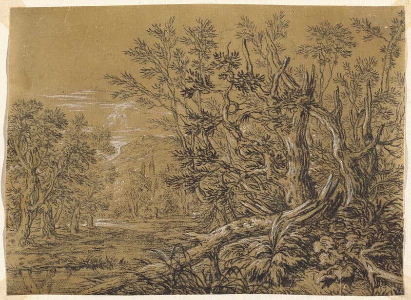Stream through an Ancient Forest — Jonas Umbach